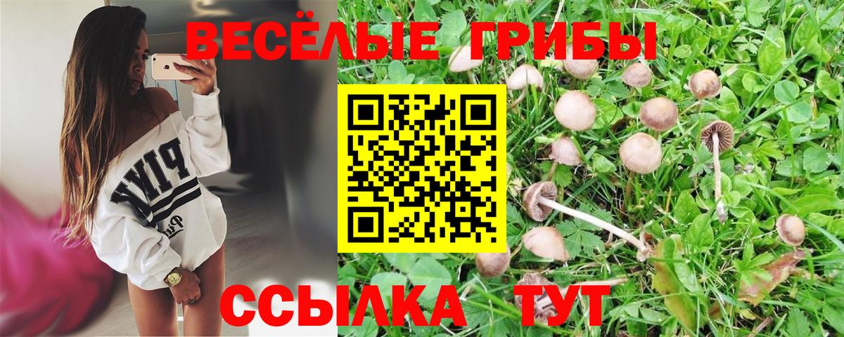Псилоцибиновые грибы мухоморы  Вход с VPN  Кашира 