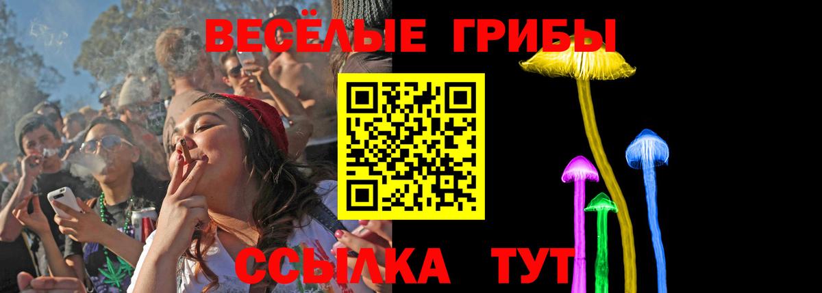 Галлюциногенные грибы MAGIC MUSHROOMS Кашира